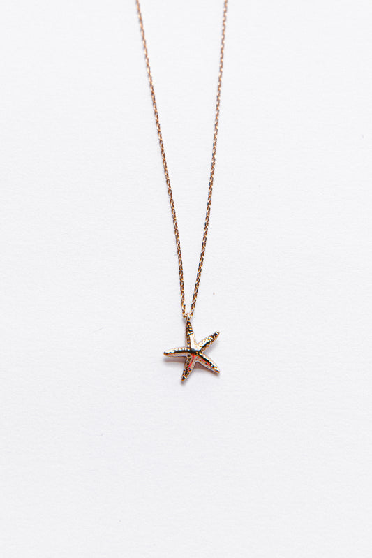 Starfish Necklace