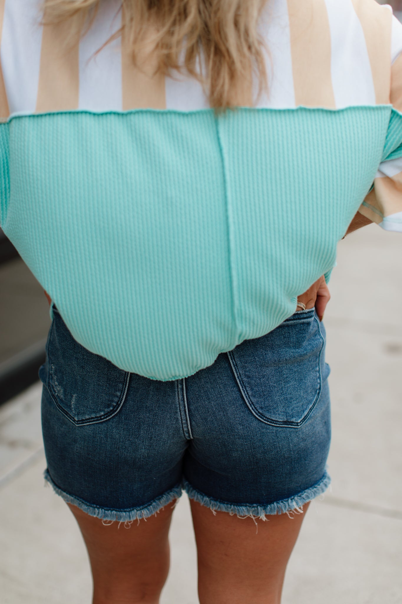 Judy Blue Denim Shorts